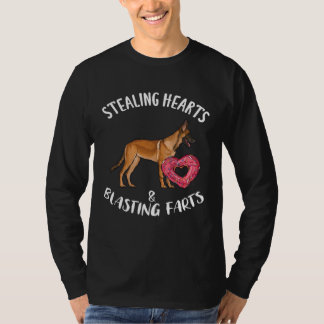 Camiseta Stealing Heart Blasting Farts Belgian Malinoi Vale