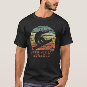 Camiseta Steamboat Springs Colorado Esqui na Neve Pôr do So