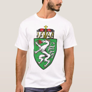 Camiseta Steiermark, Áustria