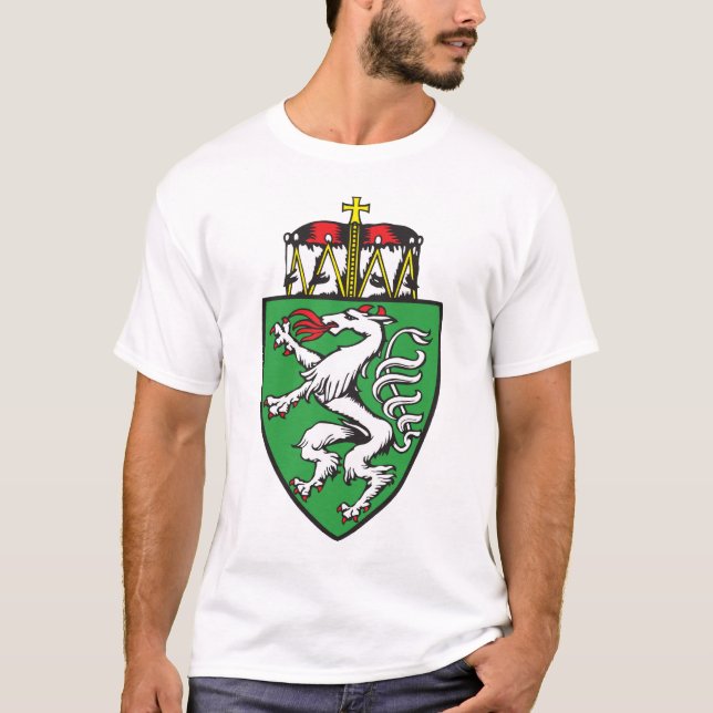 Camiseta Steiermark, Áustria (Frente)