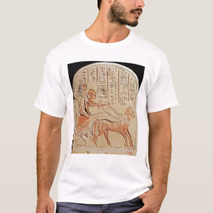 Camiseta Stela que descreve um escrevente que conduz um