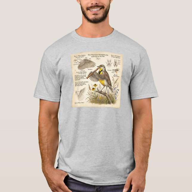 Camiseta Sternovida-ocidental Tocando Flauta – Pássaro Engr (Frente)