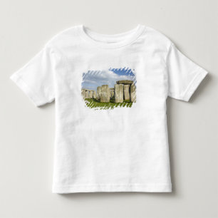Camiseta Stonehenge (por volta de 2500 a.C.), Patrimônio Mu