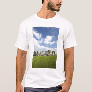 Camiseta Stonehenge (por volta de 2500 a.C.), UNESCO Patrim