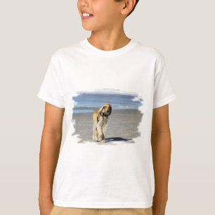 Camiseta Stroll de Saluki na praia