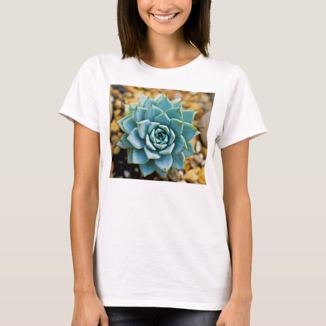 Camiseta Suculente (Frente)