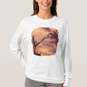 Camiseta Sucursais e Aves do Céu Púrpura Pictoso