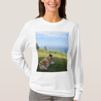 Camiseta Suka aproveitando o Cabo George