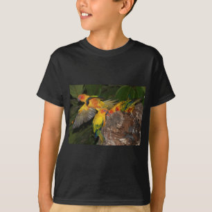 Camiseta Sun Conures