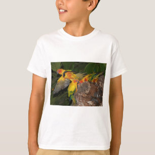 Camiseta Sun Conures