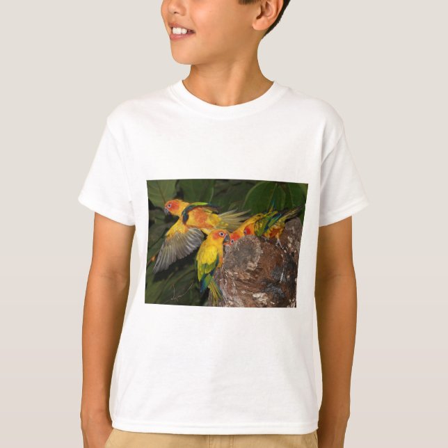 Camiseta Sun Conures (Frente)