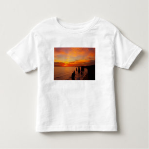 Camiseta Sunset, Doze Apóstolos, Port Campbell Nacional