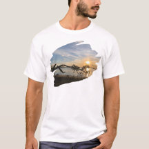 Sunset Sobre East Bay