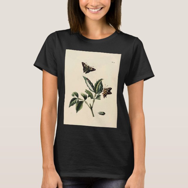Camiseta Surinaamsche Vlinders Naar Het Leven Geteekend Pap (Frente)