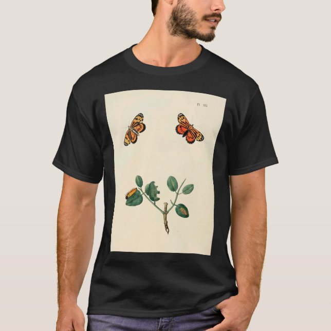Camiseta Surinaamsche Vlinders Naar Het Leven Geteekend Pap (Frente)