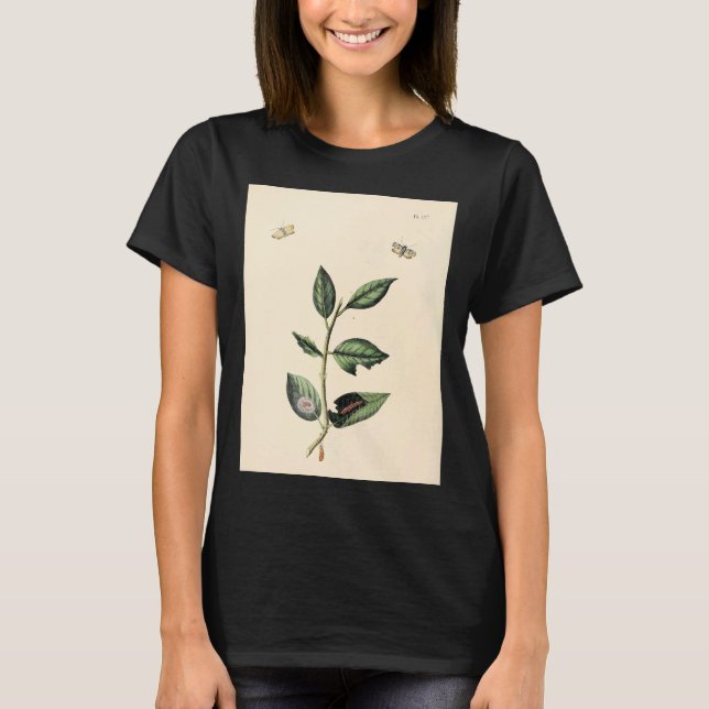 Camiseta Surinaamsche Vlinders Naar Het Leven Geteekend Pap (Frente)