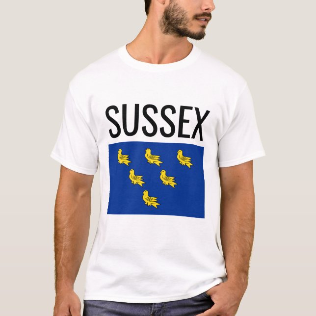 Camiseta Sussex // English County Flag (Frente)