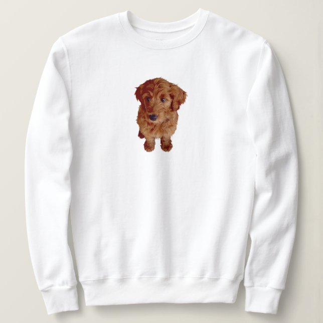Camiseta Sweatshirt Feminino Kimba (Frente do Design)