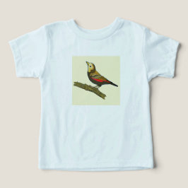 Camiseta Sweet Bird 
