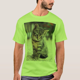 Camiseta Sweet Little Cat Lover's Graphic Tee - Men's Shirt
