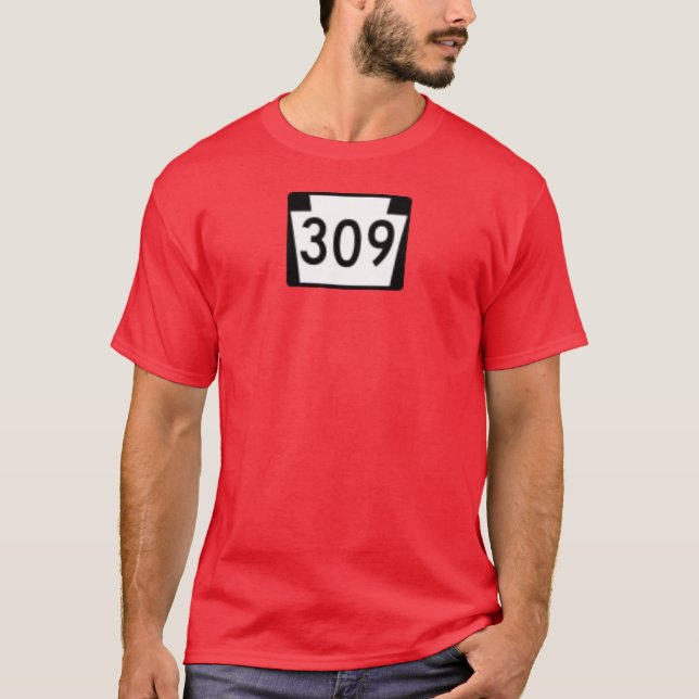 CAMISETA T 309 (Frente)