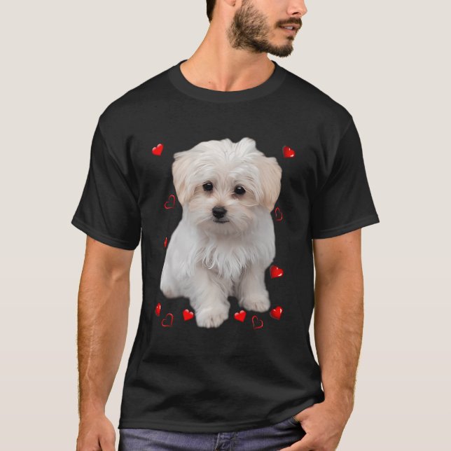 Camiseta T-Camisas Longas De Cachorro Maltês Com Corações (Frente)