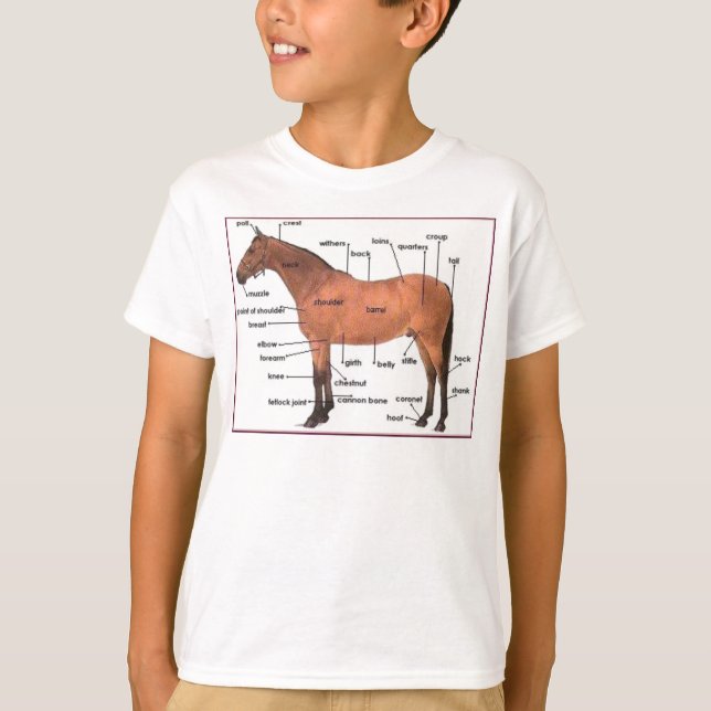 Camiseta T da anatomia do cavalo (Frente)