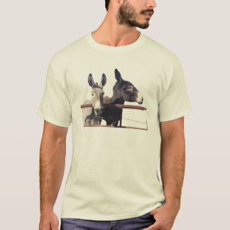 Camiseta T do asno