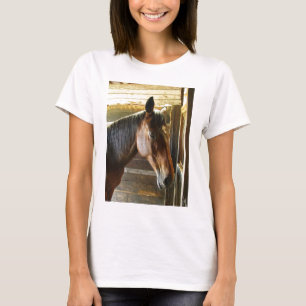 Camiseta T do cavalo