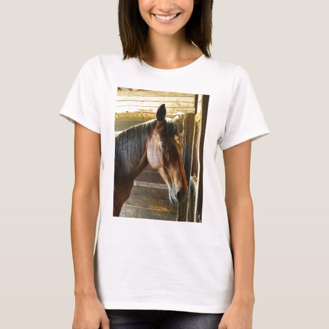 Camiseta T do cavalo (Frente)
