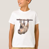 T é para Dois Toed Sloth