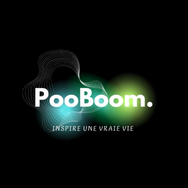 CAMISETA T-S (T-SHORT PoomBoom)