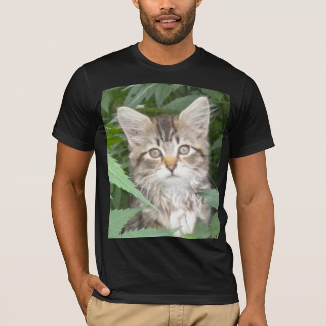 Camiseta Tabby Kitten (Frente)