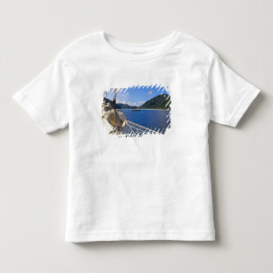 Camiseta Tailândia, Mar de Andamão. Navio Star Fyer
