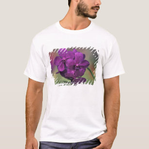 Camiseta Tailândia, norte da Tailândia, perto de Chang Mai,