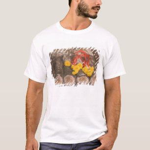 Camiseta Tailândia, pés de Buda e oferenda de Marigold