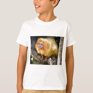 Camiseta Tamarin dourado do leão
