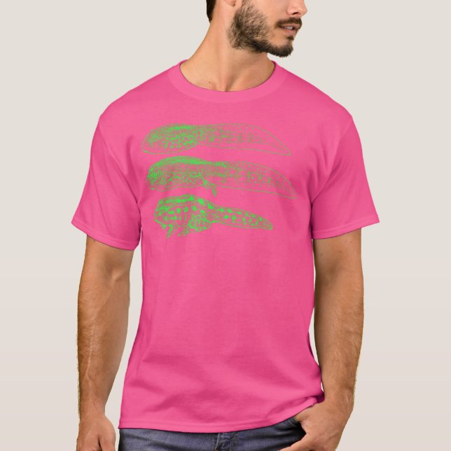 Camiseta Tampão Tambor Tadpole do Toad do Ciclo de Vida do  (Frente)