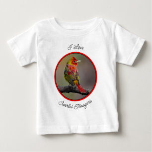 Camiseta Tangará-vermelho-mudando-de-penas - Fotografia Ori
