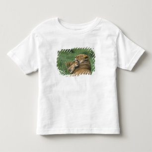 Camiseta Tanzânia, Cratera de Ngorongoro. Mãe de leão afric