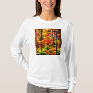 Camiseta Tarde do outono nº 2 - Tela de pintura