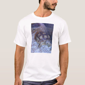 Camiseta Tartaruga