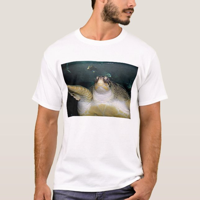 Camiseta Tartaruga 2 (Frente)