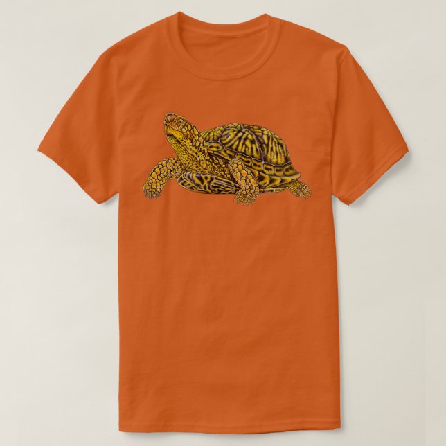 Camiseta Tartaruga 2 da Caixa Oriental (Frente do Design)