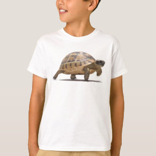 Camiseta Tartaruga Bebê Marchando Vetor Desenhado Isolado