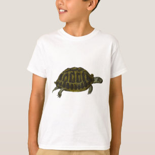 Camiseta Tartaruga de caixa