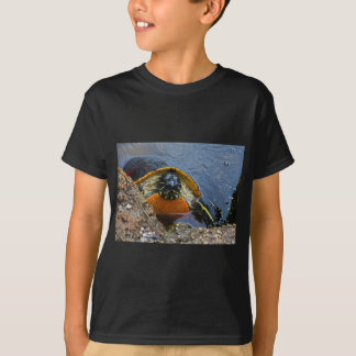 Camiseta Tartaruga pintada