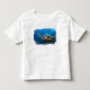 Camiseta Tartaruga Preta (Verde) (Chelonia agassizi)