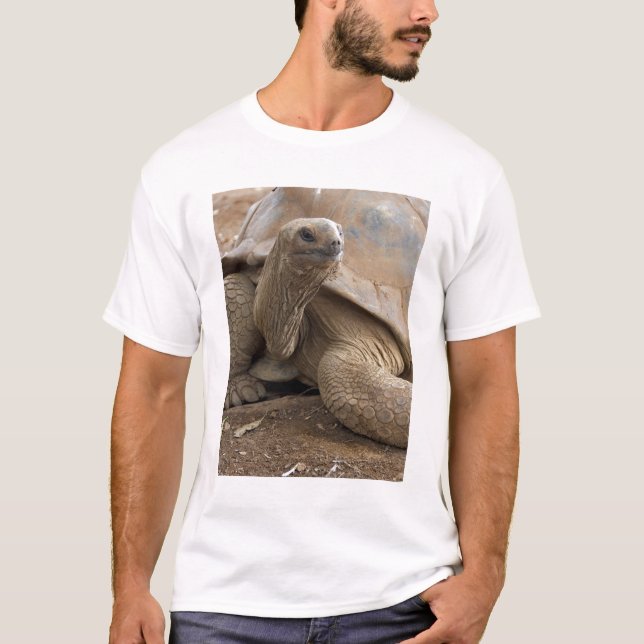 Camiseta Tartaruga terrestre de Seychelle Aldabran (Frente)