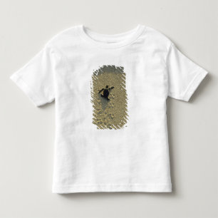 Camiseta Tartaruga Verde, (Chelonia mydas), filhote